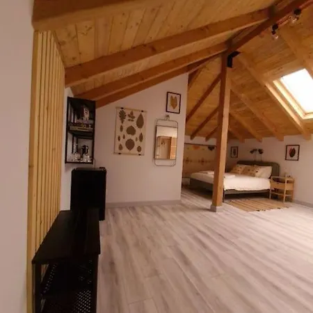 In The Attic With Private Bathroom Apartment